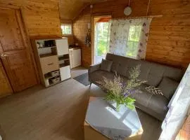Metskonna Forest House