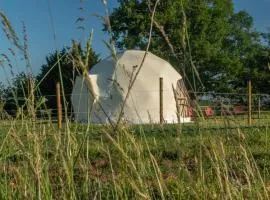 Dome Géodésique