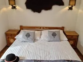 Sylwia Aparthouse - Biały Dunajec