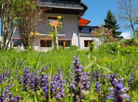 Ferienwohnung Hillig: Elterlein, Markersbach Ski Lift yakınında bir otel