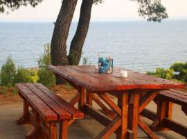 Pefkonas Apartments 100 m from the beach, pet-friendly hotel in Psakoudia