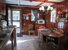 Cabin #4 - Loon's Landing cabin, hotel in Carp Lake