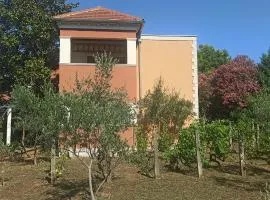 Apartments Rolovina