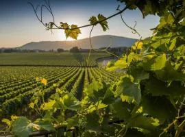 CasaViva - Grazioso Bilocale in Franciacorta
