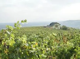 CASA DIN VIE