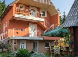 Apartments Dedeic