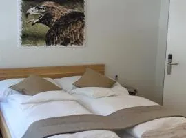 Hotel Bären Guttannen