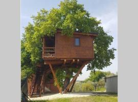 Casa sull'Albero Treehouse Costa dei Trabocchi, apartamento en Torino di Sangro