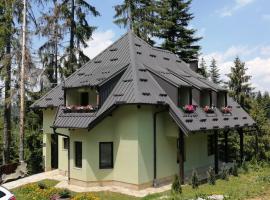 Vila PARADIZO-ZLATAR, studio apartman 1, hotel en Nova Varoš