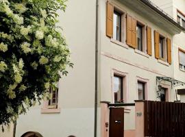 Gemütliches Stadthaus im Herzen der Altstadt, hotel v destinaci Bad Dürkheim
