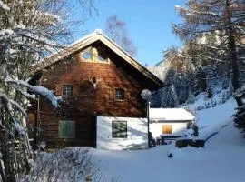 Ski- und Sommer-Chalet für 10 Personen in Dienten am Hochkönig