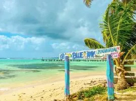 Eco Cabañas Bluekay