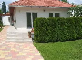 Holiday home in Keszthely/Balaton 39648