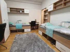 MARIBOR CITY CENTER MINIDORM APARTMENT