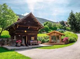 Holiday Homes in Rennweg am Katschberg 47