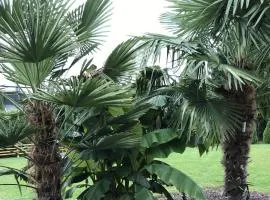 Ferienwohnung Palmengarten