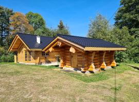 Chalet am See, cabin in Bad Brambach