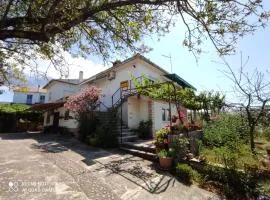 Apartments Marica