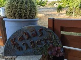 Cactus Home