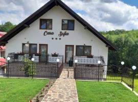 Casa Sofia, hotel din apropiere 
 de Mănăstirea Văratec, Bălţăteşti