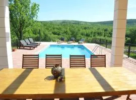 Villa Parta near Trilj, private pool