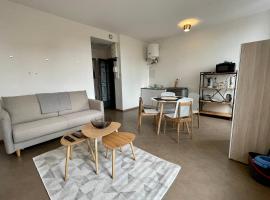 APPARTEMENT T2 rue BRAVARD, Ferienwohnung in Roanne