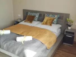 Erdei Szalonka Apartman