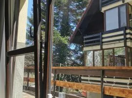 Apartament Kalinderu K3 Busteni