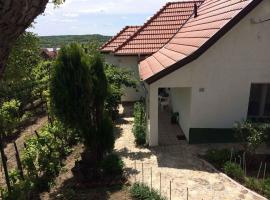 Holiday home in Tihany/Balaton 20236, hotel v destinaci Tihany