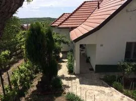 Holiday home in Tihany/Balaton 20236