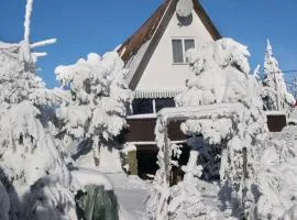 Holiday home in Svahova - Erzgebirge 1694