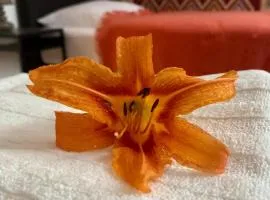 Apartament w starej kamienicy w Reszlu