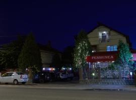 Pensiunea Caro, romantic hotel in Deva