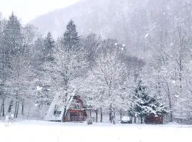 Zen House
