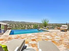 Infinity Pool and Outdoor Kitchen Luxe Phoenix Home