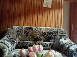 Erdei Szalonka Vendégház