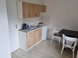 Ferienwohnung/Monteurwohnung Alte Garage