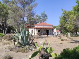 Vintage Beach House – hotel w mieście Ajia Anna