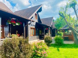 Pensiunea Galileo, hotel in Borşa