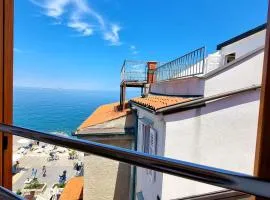 Old Piran Starfish