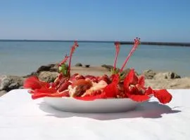 Casa Mia