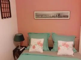 Perona gîte visite Châteaux de Loire et zoo parc Beauval