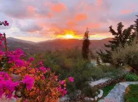 Studio apartment Bentomiz with beautiful views