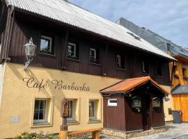 Pension Barborka, bed and breakfast en Boží Dar