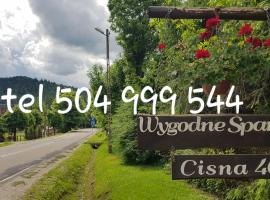 Wygodne Spanie, bed and breakfast en Cisna