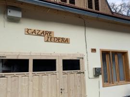 Cazare Iedera, hotel in Sasca Montană