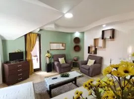 Apartment Stasha with free access to gym