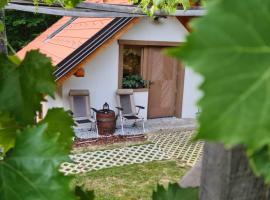 Zidanica Žagar, villa in Dolenjske Toplice