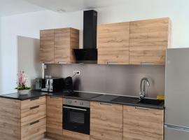 Vierzon superbe appartement, hotel cerca de Estación de tren de Vierzon, Vierzon