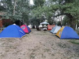 EXIT Camping with bungalow, mobile home, tents, and empty spots with private acces to the beach, glampingplads i Novi Sad